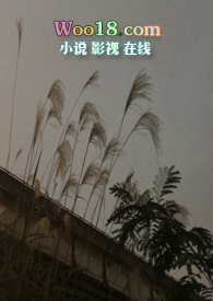 隐秘的角落 电视剧